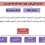 العوامل النفسيه الذاتيه هي فقط العوامل للبعد الادراكي للعمل الفني،