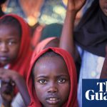 مع تزايد الانتقادات، هل الإمارات مستعدة للانسحاب من ميليشيا قوات الدعم السريع السودانية؟ | السودان